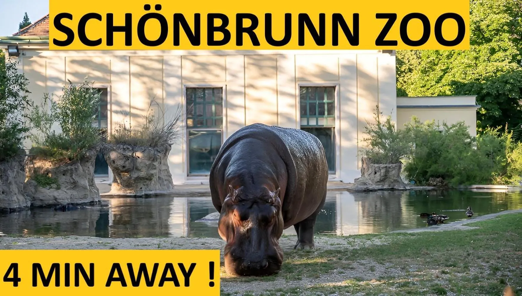 Schoenbrunn Gardens Vienna Apartment
